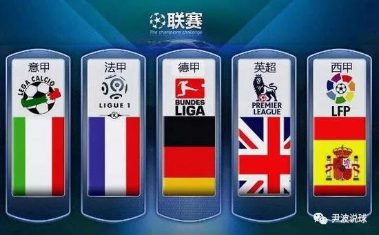 体上的反馈